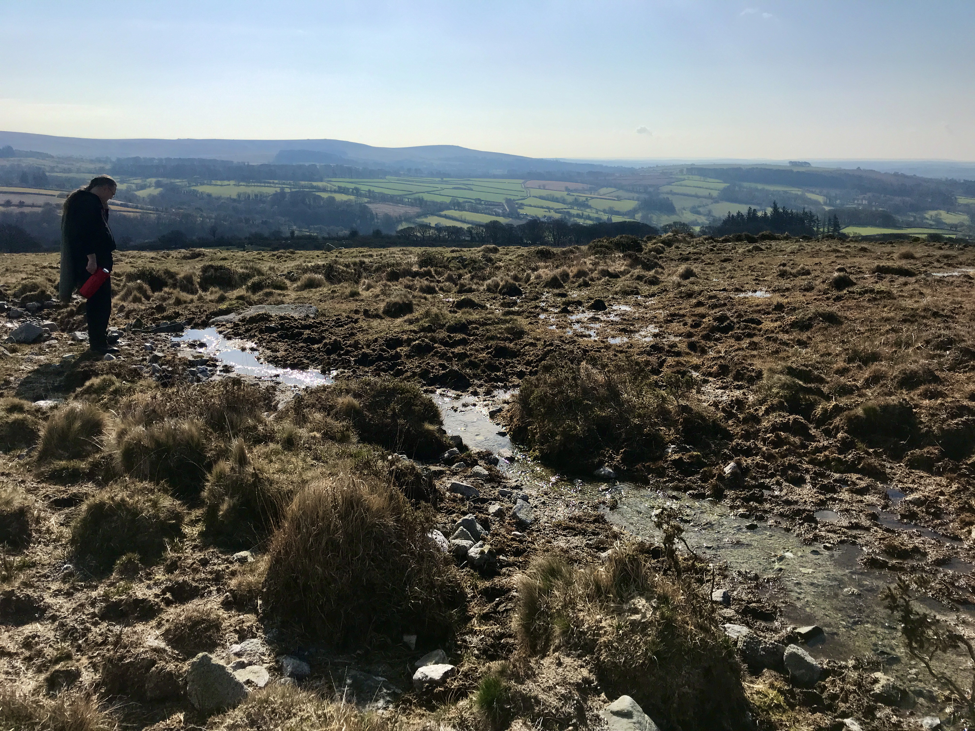 Landscape photo with a boggy area in the foreground and hills stretching away into the distance. A man is in show looking at the habitat.
